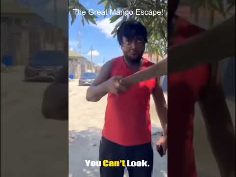 The Great Mango Escape
