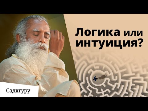 Что такое интуиция? Можно ли доверять интуиции?