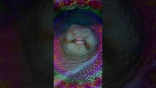 Trippy Tentacles | Secrets of the Octopus