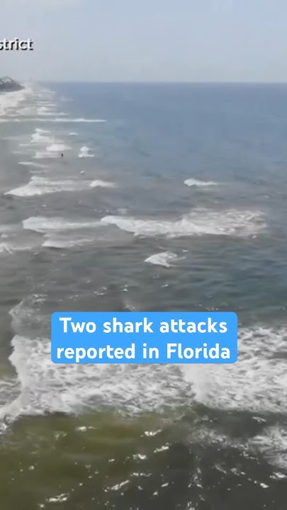 String of shark attacks reported on Florida beaches - YouTube