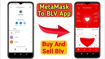 How To Transfer BLV, MetaMask To BLV Wallet #blv #bfic