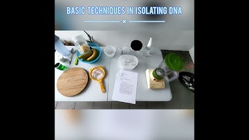 PRACTICAL TEST VIDEO : BASIC TECHNIQUES IN ISOLATING DNA