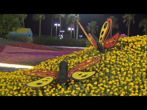 مهرجان الزهور بينبع 2017