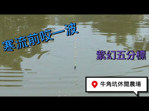 【池釣福壽魚】#牛角坑休閒農場