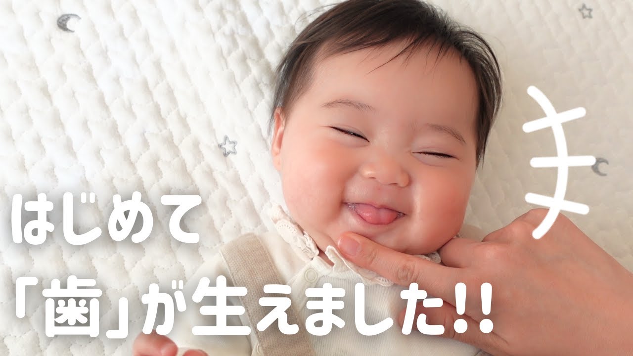 生後186日 ついに この時が 涙 笑顔満開で歯を見せる生後6か月の赤ちゃんに癒される Day 186 Congrats Ponu Got Her First Tooth Youtube