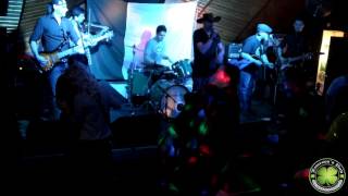 Jameson's Pub - Wild Rover