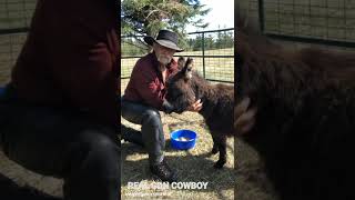 REAL CDN COWBOY 'Help those that can't help themselves' by Marcel Irnie 1,561 views 2 weeks ago 1 minute, 30 seconds