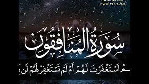 قرآن كريم بصوت القارئ طارق محمد 🌴 🥀 🌱