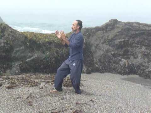 Wing Chun CHUM KIU w/ Sifu Jody Perry