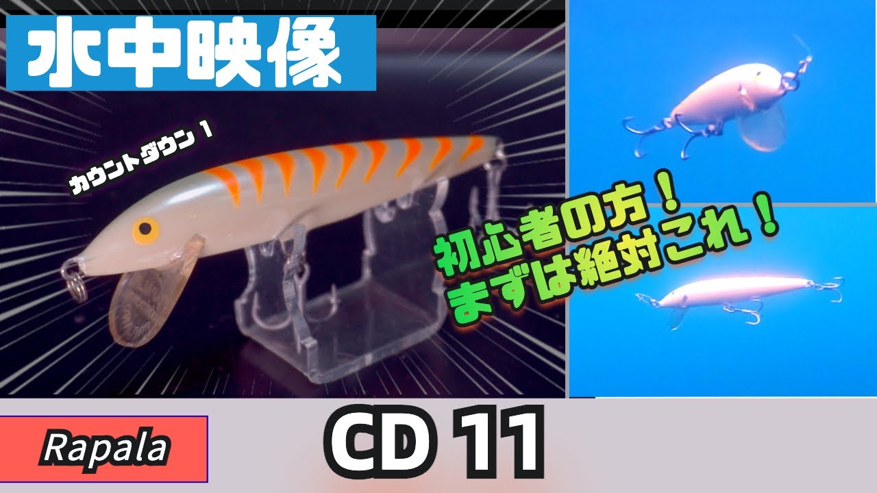 水中映像】シーバス初心者の方は迷ったらこのシンキングミノーを買って