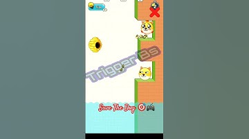 Save The Dog 🎯🎮 level 42, Save The puppy Game, Save The Dog Vs Save The Doge Game #game #gameplay...