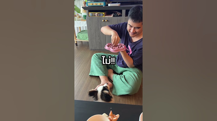 ต้นกับเนิดการร้องเพลง นปโปะหม่ำๆ (ตอนที่ 1)