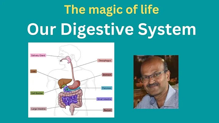 The magic of life-our digestive system #digestion ...