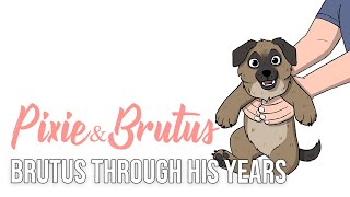 Time Changes Us All | Pixie and Brutus Comic Dub
