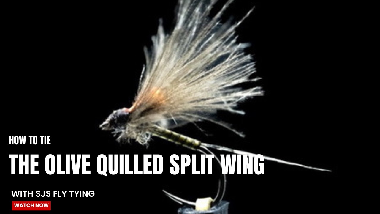 How to tie The Quilled Olive Split Wing. THE BEST DRY FLY IN MY BOX. And a must have for yours