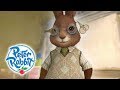 Peter Rabbit - Mr Bouncer’s Inventions | Cartoons for Kids