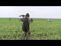 2011 hare hunting part 1 falconry in Austria