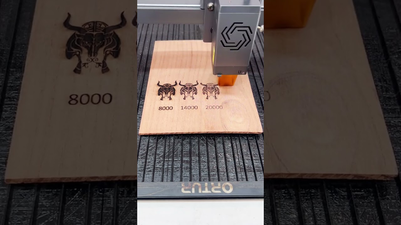 Laser cutting and engraving | Toona sinensis Test