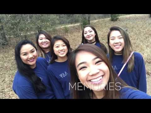 Rush UH Lambda Delta Psi Spring 2017