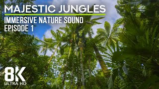 8 HRS Relaxing Sound Therapy of a Tropical Forest - Immersed in the Lush Serenity of the Jungle - #1