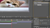 Digieffects Cinelook Torrent