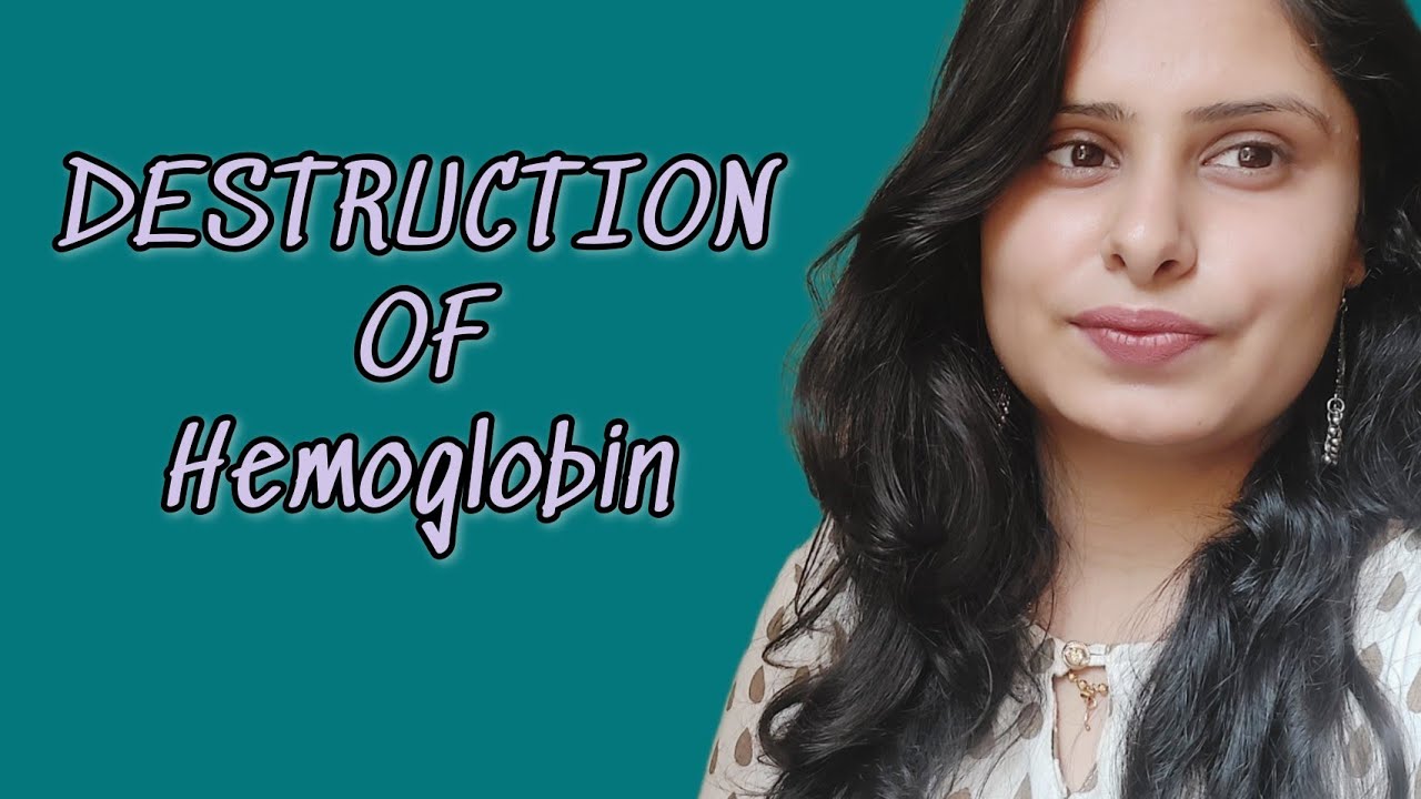 DESTRUCTION OF HEMOGLOBIN IN HINDI | Tarang Academy | PHYSIOLOGY TRICKS