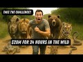 $20M for 24 hours In the wild! Would you Survive?