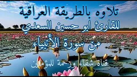 القارئ ابو حسين السعدي