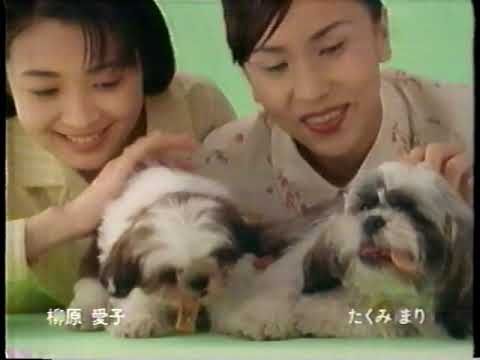 地方で録った古い懐かしいＣＭ詰め合わせ １９９６年