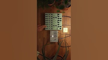 meditation music with #lyra8 #somalaboratory #ambientmusic #hologrammicrocosm #shortsfeed