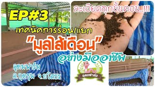 EP_188 อุดมฟาร์ม จ.ยโสธร ตอน เทคนิคการร่อน/แยกมูลไส้เดือนอย่างมืออาชีพ แบบละเอียดทุกขั้นตอน