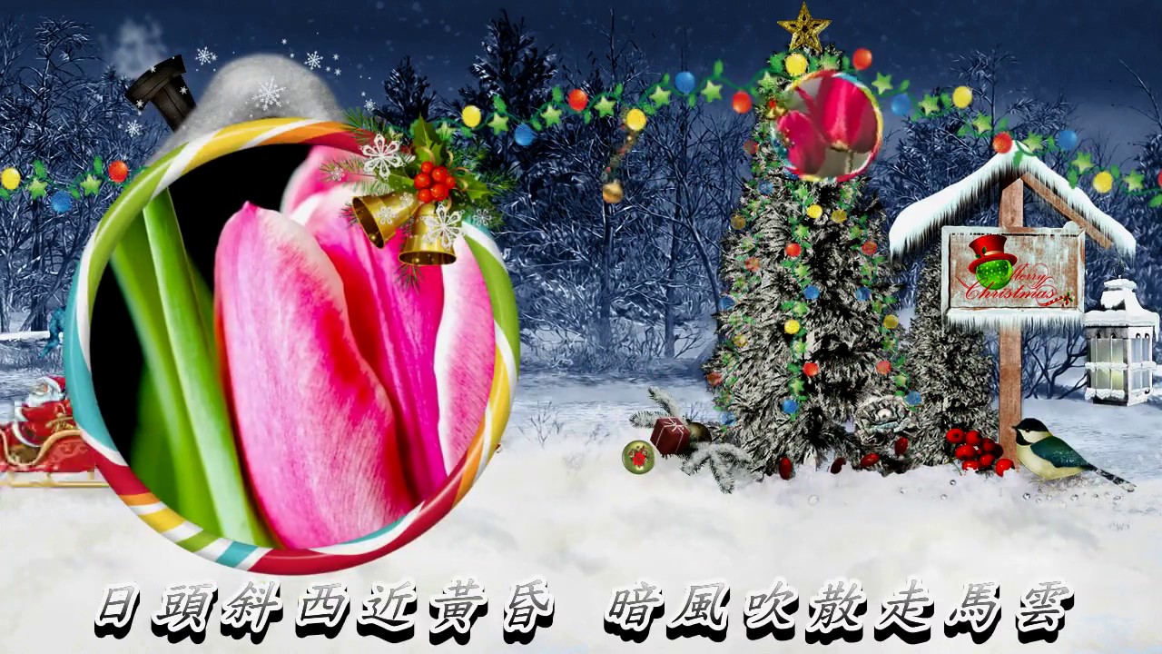 Guarda 嘆青春 西卿 su YouTube Guarda 嘆青春 西卿 su YouTube