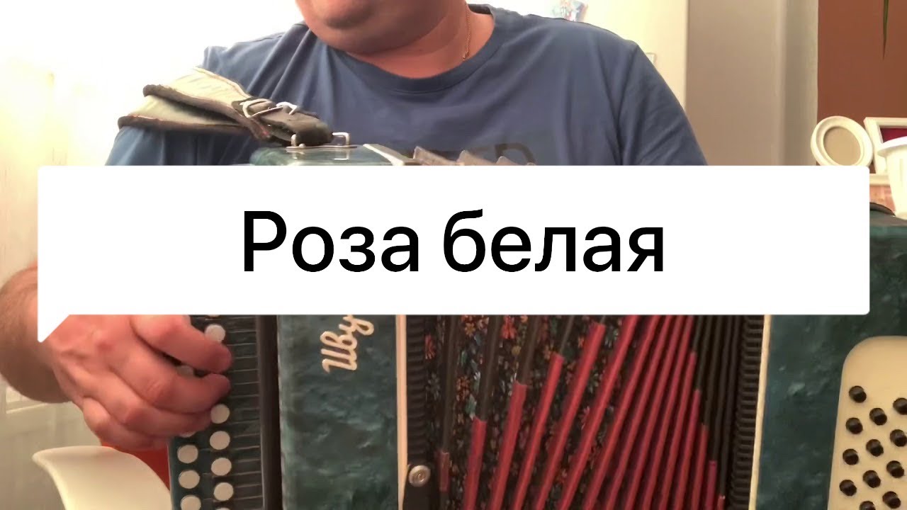 Белые разбор