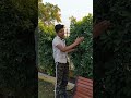 mama girlfriend ka leya phool cha he hai#FunnyShorts#ComedyVibes#LaughModeOn#DailyFunDose#InstantL