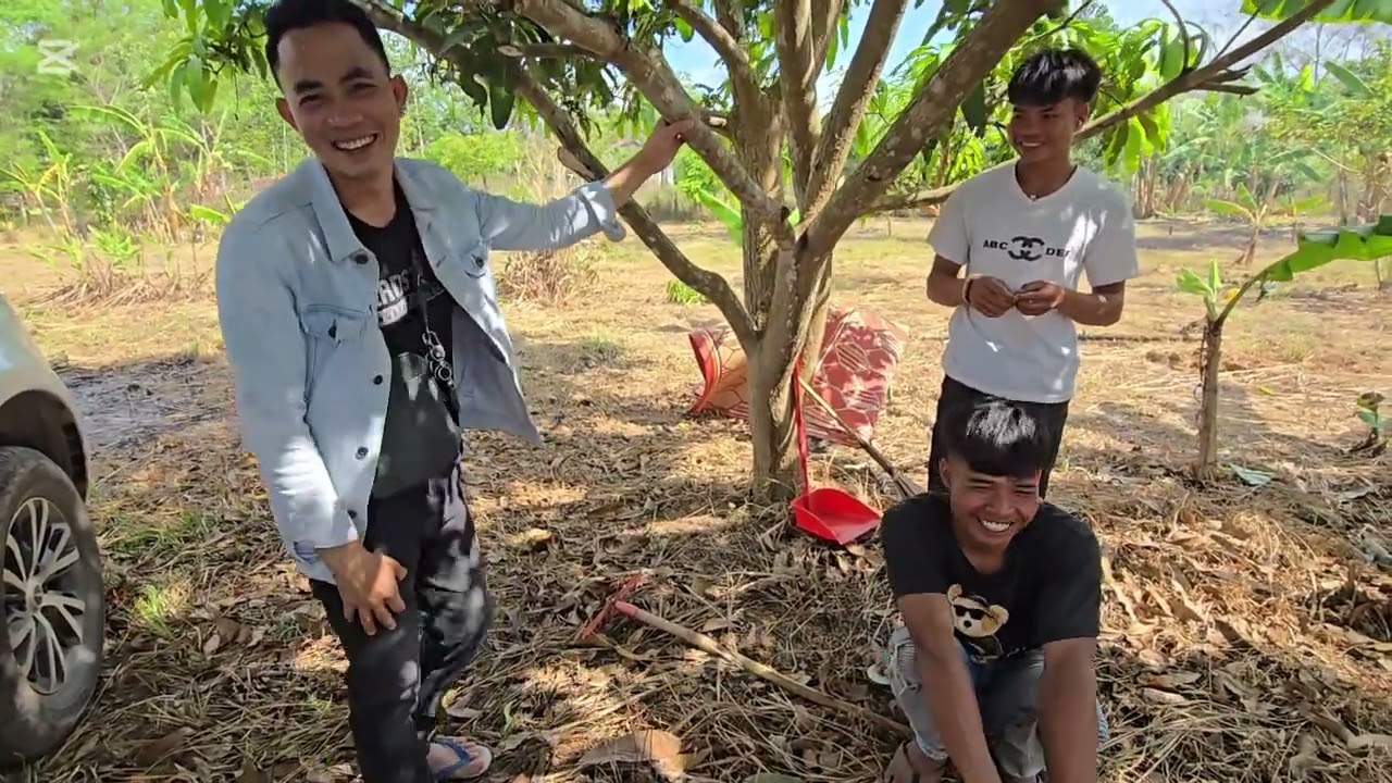 บ่าวเซียง