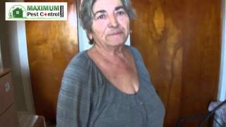 BedBug Pest Control Service in Hamilton