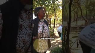 Sustainable Homestead in Zambia #greenliving #eco-friendly #organicfarmingmethods #smallscalefarming