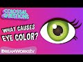 Understanding Eye Colors