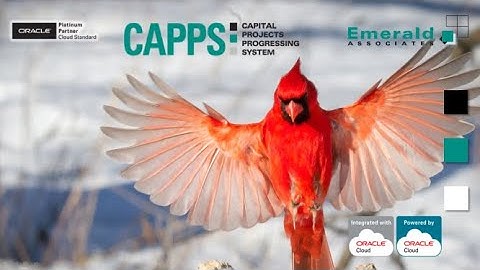 2021-05-26 - CAPPS Webinar - Easy Primavera P6 Updating