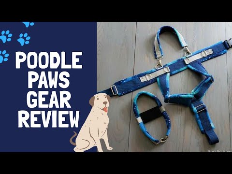 poodle paws gear