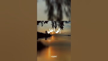 سورة النحل | القارئ خالد الجليل 🎧🤎