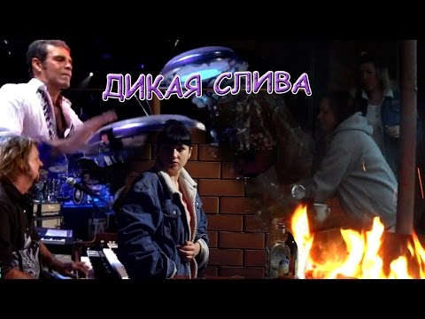 Дикая слива