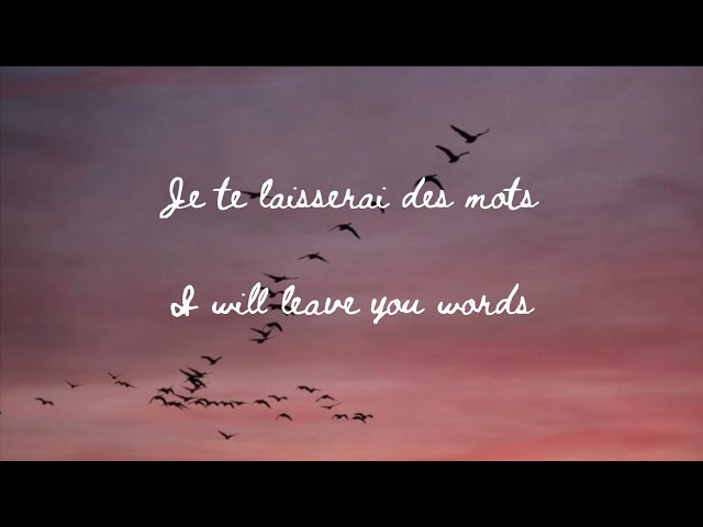 Patrick Watson - Je te laisserai des mots (Cover by Marianne BL) Lyrics + English class=