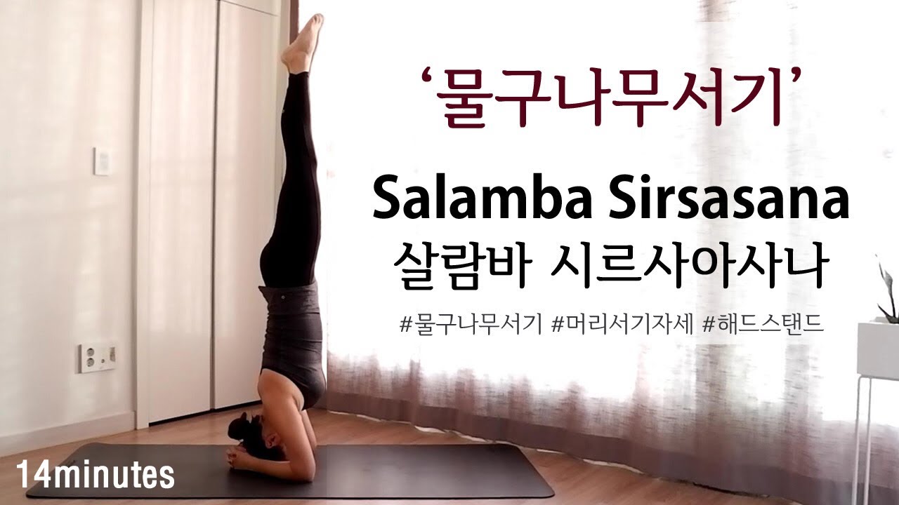 물구나무서기를 연습해보자! 요가역자세 '살람바 시르사아나사(Salamba Sirsasana)' 세 가지 접근방법 / 머리서기자세 / 해드스탠드  by.지음요가(jiumyoga)