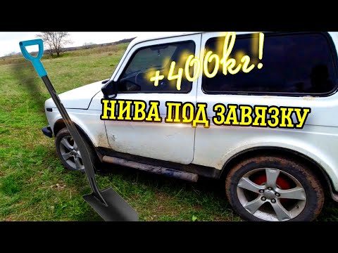 Медь-200р Чермет-8р. Металлокоп умирает #заработок #копарь #топ #hunting #metaldetecting #металлокоп