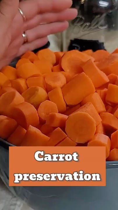 How The Amish Preserve Carrots For 2 Year's Without Refrigeration! #shorts