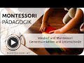 Waldorf - Montessori: Gemeinsamkeiten und Unterschiede [Montessori-Akademie | Montessori-Ausbildung]