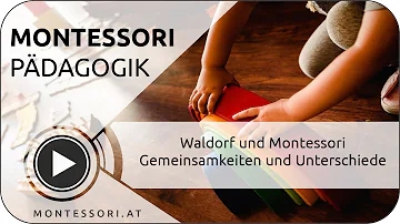Was ist der Unterschied zwischen Montessori und Waldorfschule?