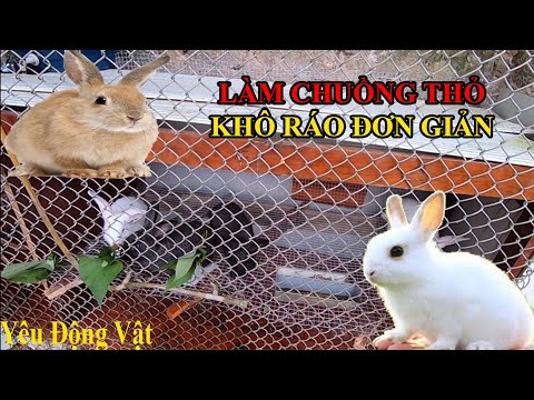 LÀM CHUỒNG THỎ RẺ TIỀN NHẤT VIỆT NAM VÀ ĐÓN THÀNH VIÊN MỚI