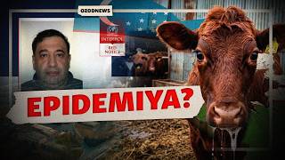 OZODNEWS: “O‘zmetkombinat” boshqaruvi sobiq raisi Dilshod Ahmedov xalqaro qidiruvga berildi